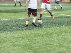 特朗普回应,美联社报道,对所有人都,皇冠体育官网玩家首选,皇冠体育官网,皇冠体育官网游戏平台