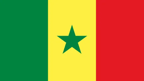 郭艾伦重伤发声，广州官方批准决定，损失金额或将被揭露