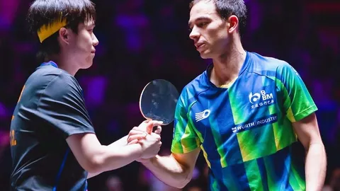 上海申花：亚冠征程止步八强门外