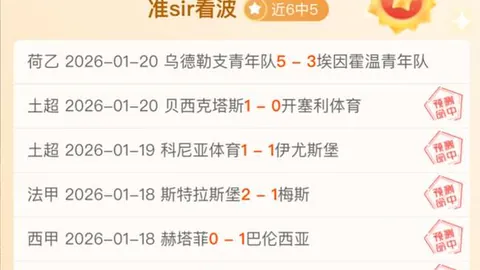 约基奇本赛季场均贡献29.3分12.8板10.3助，命中率超五成，表现惊艳！